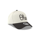Team Chrome Black A-Frame 9FORTY
