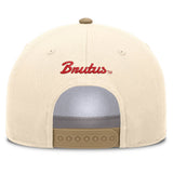 Team 2-Tone Arched A-frame Snapback