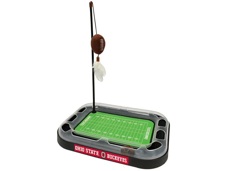 NCAA Football Field Cat Scratcher