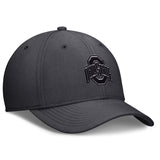 Team Classic Swoosh Cap