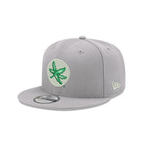 Team Core 9FIFTY Snapback Cap