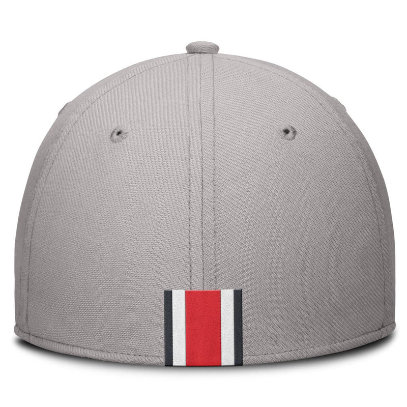 Team Classic Swoosh Cap