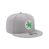 Team Core 9FIFTY Snapback Cap