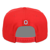 Team Retro Snapback Cap