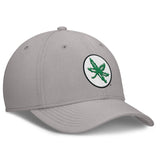 Team Classic Swoosh Cap